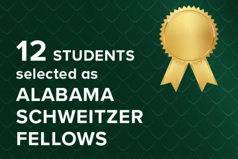 SchweitzerFellows_Stream