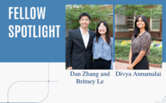 Fellow Spotlight