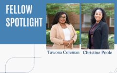Fellow Spotlight