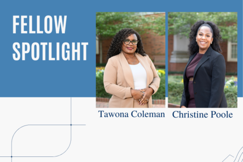 Fellow Spotlight