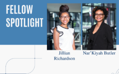 Fellow Spotlight